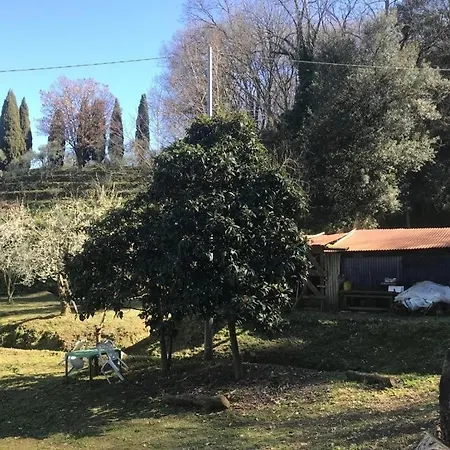 Serenita Nella Natura