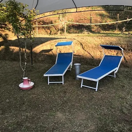 Serenità Nella Natura *