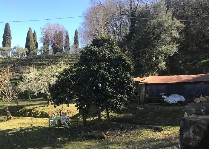 Serenita Nella Natura